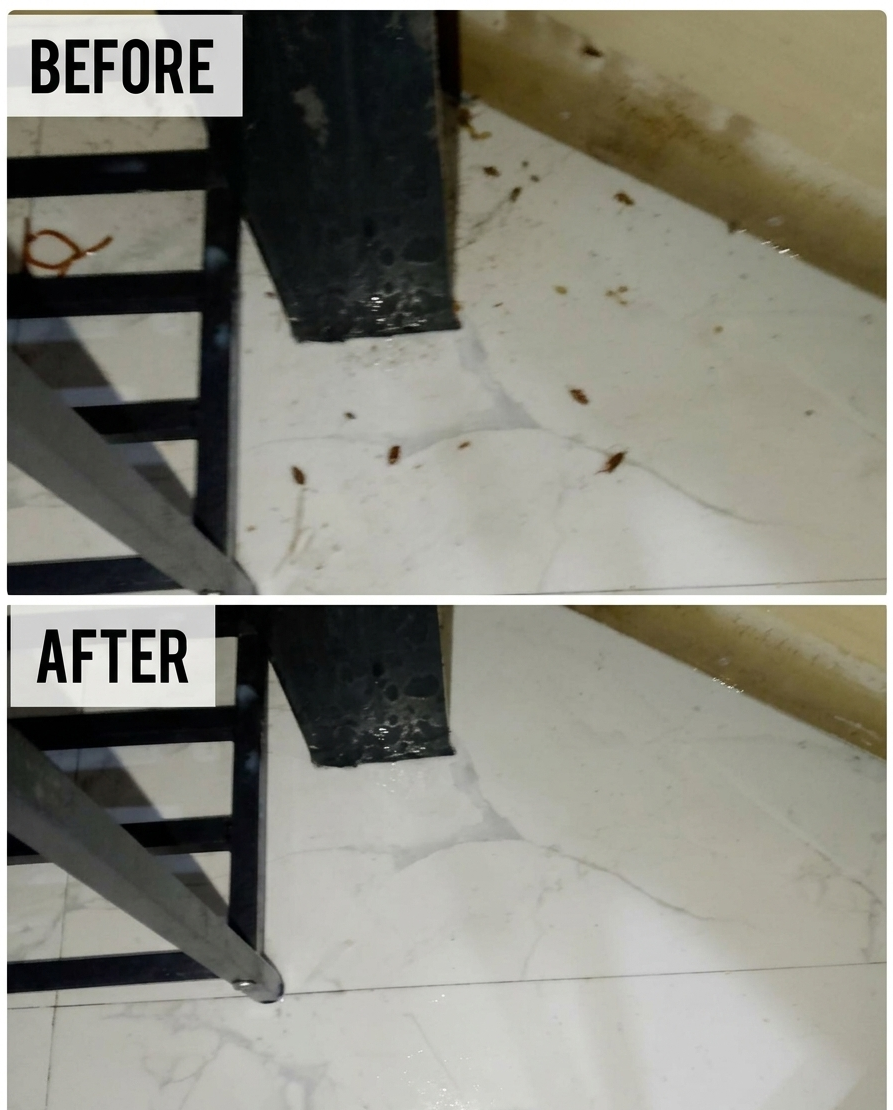 rodent control ann arbor